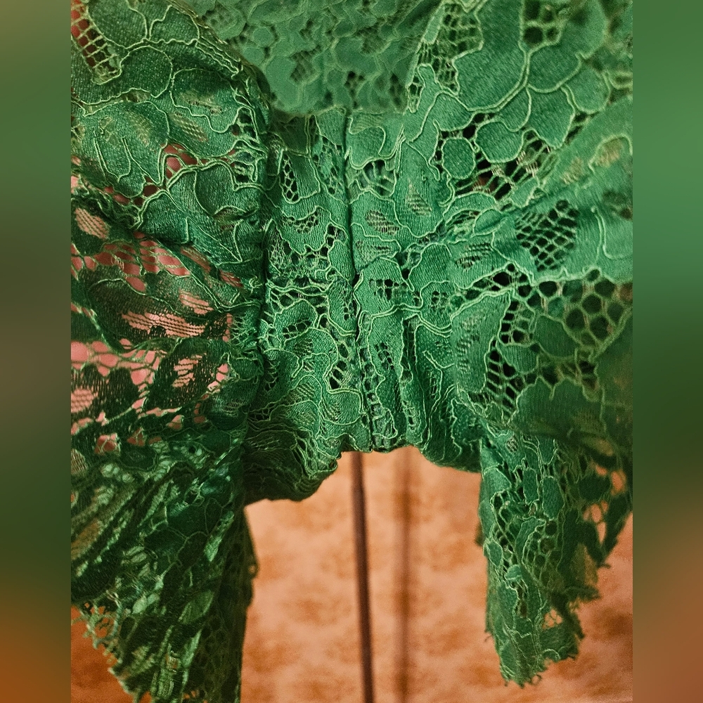 ZARA SMALL GREEN LINED LACE SHORTS - Picture 7 of 16